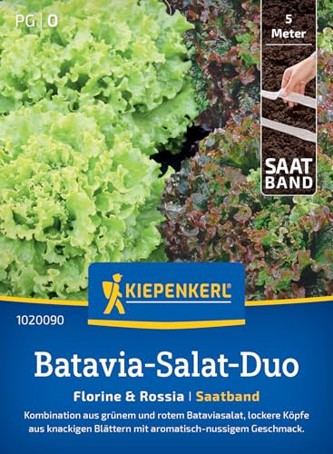 Kiepenkerl Batavia-Salat-Duosamen Florine & Rossia 1020090, Gemüsesaat | Saatgut für das Salat-Duo, Die Kombination aus grünem und rotem Bataviasalat, schossfest, aromatisch