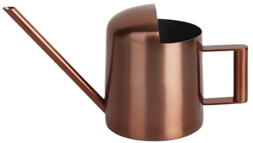 Jorzer Mini arrosoir 300 ml en acier inoxydable avec long bec - Style simple - Pour intérieur et extérieur - Bronze