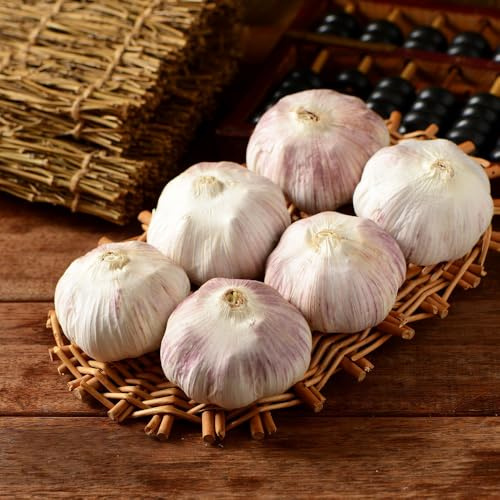 KnoblauchSamen-pflanzknoblauch,stauden winterhart mehrjährig,gewächshaus balkon,schnell wachsender balkonpflanzen 400pcs