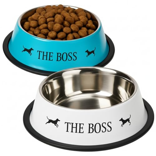 MOLY Comedero Antideslizante Acero INOX Perros 18 cm 0,90 L | Plato para Mascotas Rojo | Cuenco Comida Perro de Acero Inoxidable | Resistente y Lavable | Diseño Seguro y Elegante