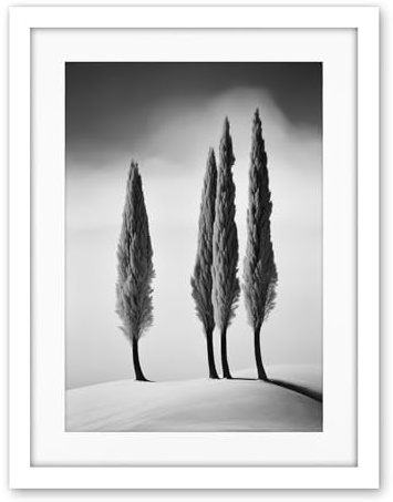 Artery8 Group of Cypress Trees on Snowy Hill Minimalist Black and White Photograph Cypresses in Foggy Winter Landscape Artwork Framed Wall Art Print 18X24 Inch