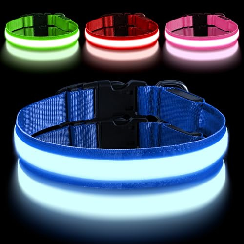 AUAUY Collier Lumineux LED Rechargeable pour Chien, avec Port Type-C, Collier LED Chien Réglable avec 3 Modes D'éclairag, Imperméable, pour Petits, Moyens et Grands Chien (M, Bleu)