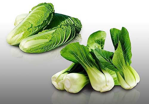 Lot de 200 graines à semer - Le Grenier d'Abondance - Duo de Choux Chinois - 2 sachets individuels