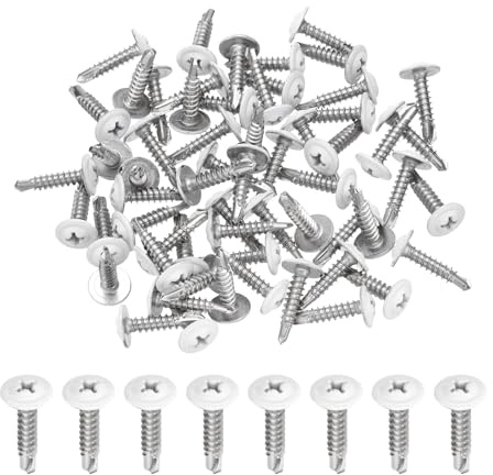 QUARKZMAN 60Pcs M4.2x19mm Vis Autotaraudeuse Tête Cylindrique Blanche, Vis Autoperceuses en Acier Inoxydable 410 pour Tôle, Argentées