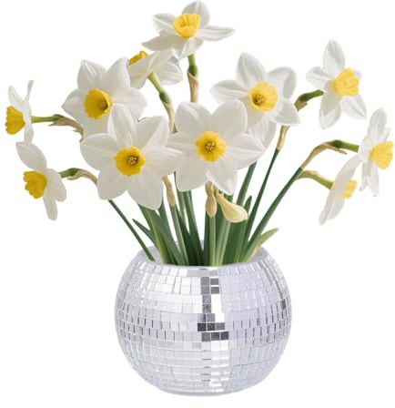 Qwrqwr Piccola sfera da discoteca, in argento, per cactus, erbe e finestre, vaso decorativo in vetro a specchio, 3,94 x 3,15 pollici (1, argento)