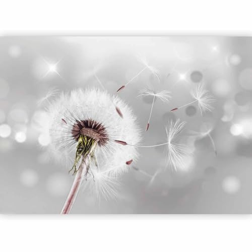 Fotomurales B&D XXL - Diente de leon 150x105 cm XXL Papel pintado tejido no tejido Decoración de Pared decorativos Murales moderna Diseno Fotográfico Flores Naturaleza b-C-0072-a-b