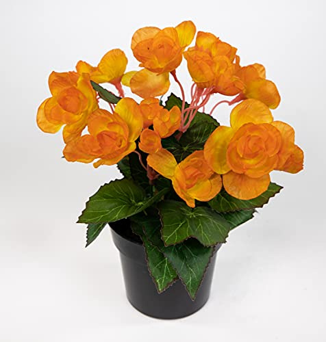 Seidenblumen Roß Begonie 20cm orange im Topf JA Kunstpflanzen Begonienbusch künstliche Blumen Pflanzen Kunstblumen