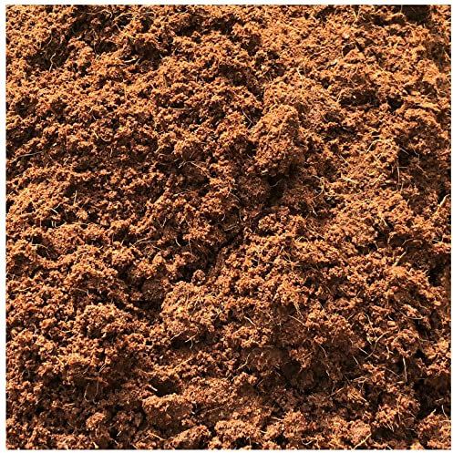 All Purpose Soil - 1000ml Indoor Potting Compost - Hydrate at Home