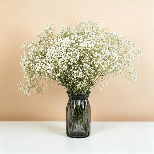 100g/ Paket Schleierkraut Getrocknet, Trockenblumen Schleierkraut, Trockenblumen zum Basteln, Getrocknete Blumen Klein für DIY Fotorahmen, Lesezeichen, Grußkarten