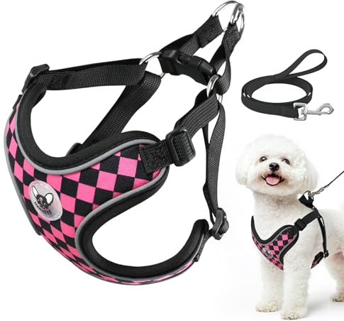 Cawjug Hundegeschirr und Leine Set, Weiches Einstellbares Reflektierendes Schritt-in-Westengeschirr für Welpen Extra-Klein Mittelgroße Hunde, Verstellbares Welpengeschirr (Rosa, S)