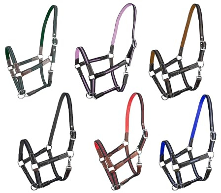 Brama West Halfter Pferd Ruby | 2-Fach verstellbar mit Ledereinsätzen | Weidehalfter Stallhalfter | in Überraschungsfarben – Größe & Menge wählbar (Mini Shetty, 3er Pack)