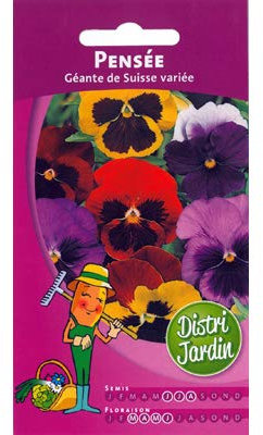 Graines de pensee geante de suisse variee 0,3g
