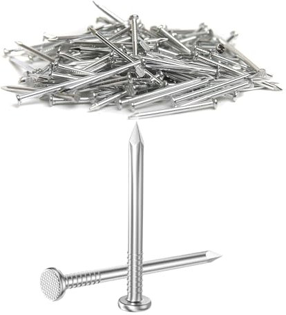 Dayalo Lot de 100 clous en acier inoxydable de 25 mm pour tableau, travail du bois, brique pour une utilisation sur brique, plâtre et bois