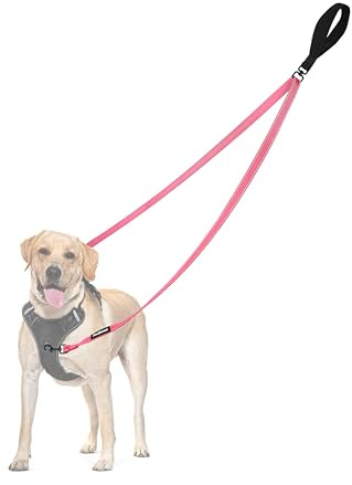 PetBonus Correa para Perros con Control de Dos Puntos, Compatible con arneses sin tirones, diseño sin enredos, Acolchada Suave y Reflectante, Convertible en una Sola Correa para Paseos