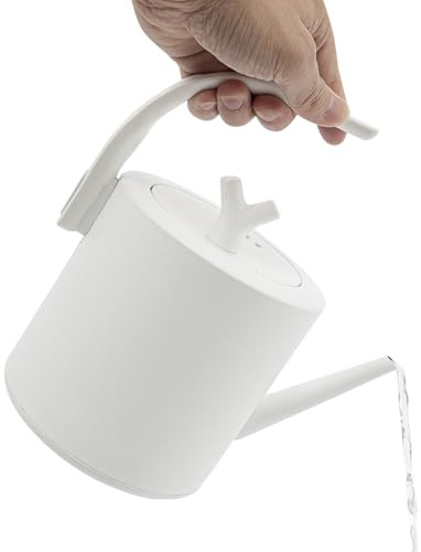 Bouilloire électrique en acier inoxydable 1 l avec col de cygne - Écran LED - Choix de la température de 40 à 100 °C et fonction maintien au chaud - 1000 W - Pour thé, café - Blanc