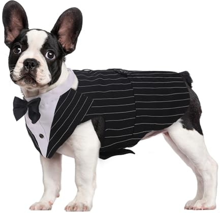 Kuoser Hund Smoking Anzug Bandana Set, Haustier Fomal Kleidung, Gestreift S | Hunde Mantel mit Abnehmbarer Fliege, Hundeanzug Welpe Kostüm Shirt für Hochzeit Halloween Geburtstag Party，leicht & bequem
