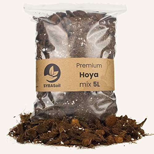 Sybotanica Hoya-Erde 10 L – Premium Coco Blumenerde für Hoya & mehr, Torffrei & 180 Tage Bio-Dünger – Für Zimmerpflanzen-Liebhaber