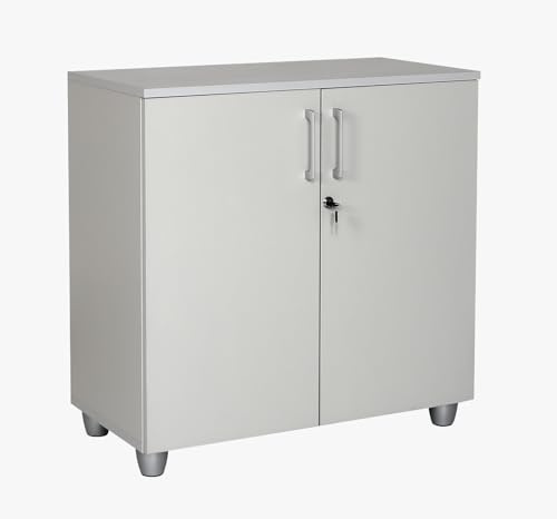 furni24 Aktenschrank mit Schloss und Fächern – Abschließbarer Holzschrank, mit 1 verstellbaren Regalbrettern, Flügeltüren und Metallscharnieren – Grau, 80x80x40 cm
