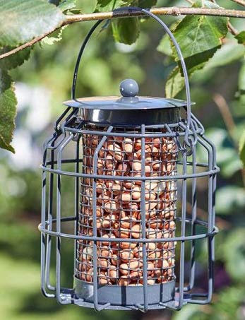 Garden Mile Alimentador de pájaros, jaula a prueba de ardillas, ideal para semillas de alimentos de aves silvestres nueces o bolas de grasa (alimentador de aves más pequeño para cacahuetes)