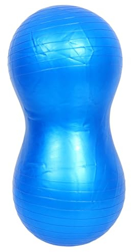PRETYZOOM Balance Exercise Ball with Pump Blue – Sensory Therapy Stability Yoga Fitness Ball for Boys and Early Education Rehabilitation Training
