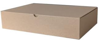 Klappdeckelkarton DHL klein 350 x 250 x 80 mm Päckchen Versandkarton Schachtel Kiste (50)