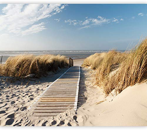 murando Fototapete selbstklebend Strand Meer 343x256cm Foto Tapete Tapetenfolie Möbelfolie Wandverkleidung Wandtapete Motivtapeten Bildtapete Wohnzimmer 3d Effekt Modern Natur Sand c-C-0176-a-a