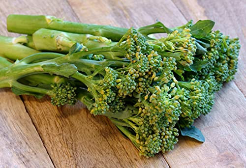 Italienischer Spargel-Brokkoli Sessantina – auch bekannt als Cima di Rapa, Broccoli Raab, Stängelkohl – Wichtige Infos – bitte lesen! – 500 Samen