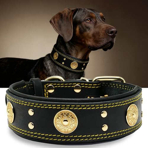 Hundehalsband Leder 5 cm Breites,Handgefertigt Weich und Luxuriös,SW-GD M | Robustes Echtes Lederhalsband, Auffällige Beste Wahl für Große und Mittelgroße Hunderassen, 50-60 cm