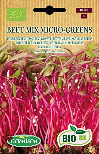 Germisem Biologico Beet Mix Micro-Greens Semi di Rapa Rossa 10 g
