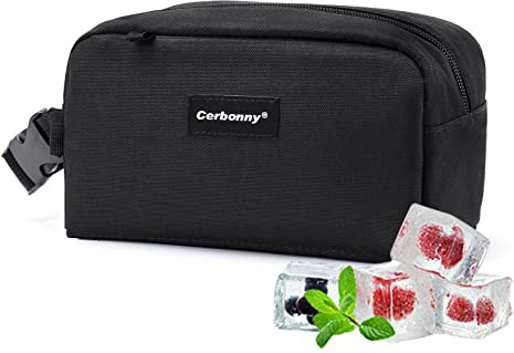 Freezable Lunch Bag,Freezable Snack Bag,Mini Cooler Bag for Travel/Work/School,Small Insulated Bag,Small Cooler Lunch Box with Ice Packs,Insulated Snack Bag,Freezable Snack Box with Handle Buckle