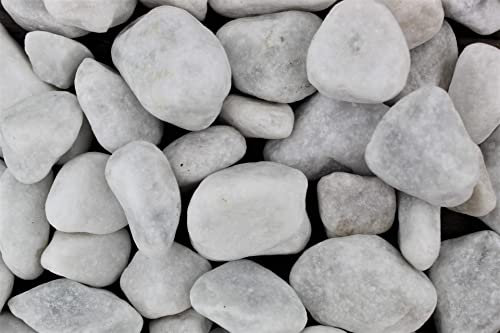 Gravier naturel Carrara - 5 kg - Grain lavé - 25 à 40 mm - Gravier de jardin - Gravier décoratif - Galets décoratifs