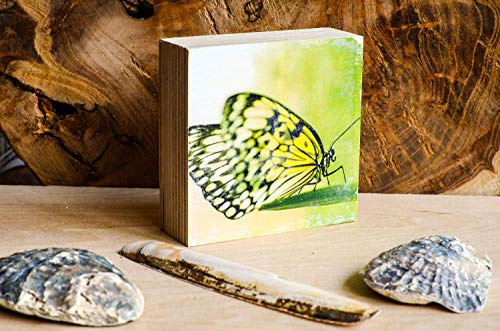 Schmetterling Holzdruck Quadrat 8,5x8,5 cm Holzbild im Shabby-Stil Photo on Wood gifts gift for her