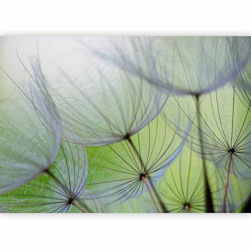 murando - Vlies Fototapete Pusteblume 300x210cm - Foto Tapete Schlafzimmer Wohnzimmer Moderne Vliestapete XXL Wandtapete Motivtapeten 3d Effekt Wand Dekoration - Blumen Natur grün 10110906-71