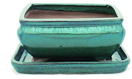 exotenherz Bonsai-Schale mit Unterteller Gr. 2 - Grün - eckig - Modell G81 - L 14,5cm - B 11,3cm - H 6,6cm