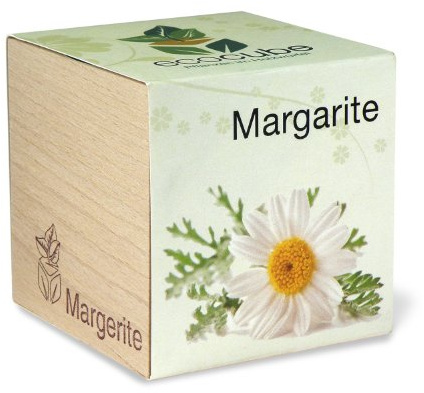 ecocube Holzwürfel - Margarite