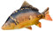 Gaby Carpas Gigant Cojín (Carp Giant Pillow) Peluche 90 cm