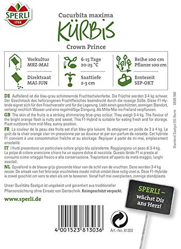 Kürbis Crown Prince F1