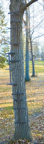 Guide Gear Quick Tree Climbing Sticks Ladder Steps for Treestands Deer Hunting Gear and Accessories, 3 Pack