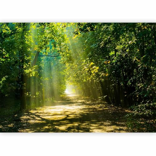 murando - Fototapete Vlies Wald, 350x256 cm, Schlafzimmer, Wohnzimmer | Full HD Druck, 3D-Effekt, lichtbeständige Farben, ideal fürs Wohn- oder Schlafzimmer, schnelle Montage, lichtbeständig, edel