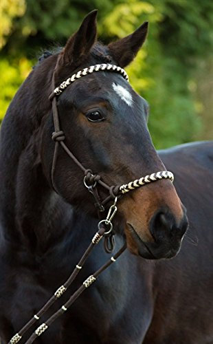 Barefoot Seneca REIT-Halfter 3‑in‑1 – Knoten-Kopfstück als Halfter, gebisslose Zäumung oder mit Gebiss erweiterbar – mit Rohhaut-Verzierung und echter Horse-Hair-Tassel – Größe Full