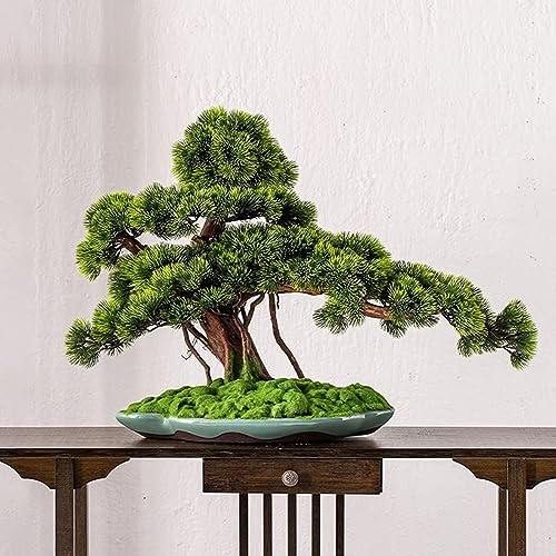 Künstliche Bonsai Kunstpflanze im Topf - Japanische Podocarpus Zimmerpflanze für Baddeko, Desktop, Büro, Fensterbank, Mittel