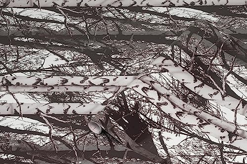 d-c-fix vinilo adhesivo decorativo para muebles Madera 45 cm x 1,5 m – film adhesivo decorativo de fácil limpieza para cocina, armarios, mesas y alféizares – moderno y duradero