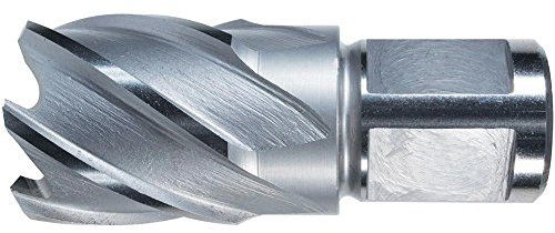 Alfra 1907036025 Kernbohrer aus HSS-Co5, Stahl, 36/30 mm