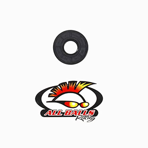 All Balls Double joint à lèvres