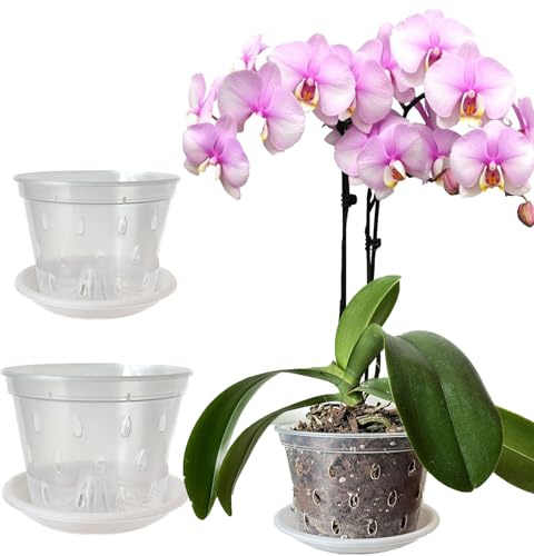 Mesoar 14cm 17cm Orchid Pots,Clear Plastic Orchid Pots with Holes and Saucers for Plants Flower Nursery Pots for Orchid Repotting Indoor and Outdoor Use (6, 3 each of 14cm,17cm with Sacuers)