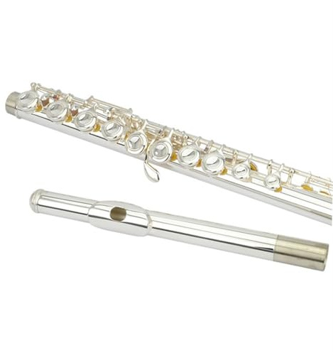 Querflöte Instrument 16-Loch-Flöteninstrument Mit Geschlossenem Loch Und Vernickeltem In C Für Anfänger
