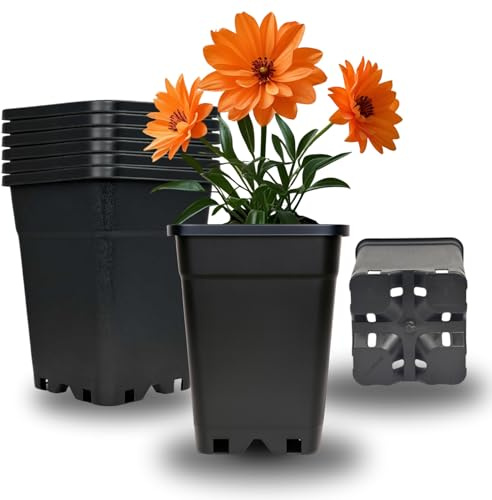 Cultonix Viereckiger Blumentopf 1L – 15er Set | Pflanztopf eckig Kunststoff, Anzuchttöpfe für Balkon & Terrasse, Blumentöpfe Indoor Outdoor, Einsatz für Pflanzkübel groß außen