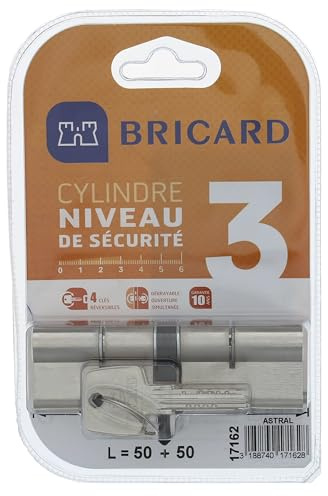 Bricard 17162 Cylindre débrayable Astral 2, 9 en Laiton Nickelé 10 Pistons, 2 entrées 50+50