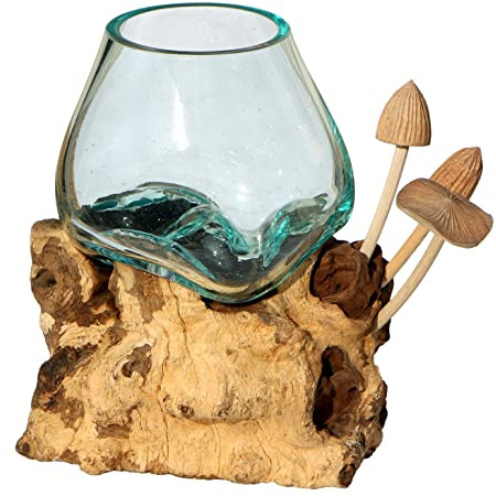 Wogeka - Designer Glasvase mit Pilzen auf Wurzelholz - Blumenvase oder Deko-Glas als Geschenk-Idee zu Geburtstag Weihnachten