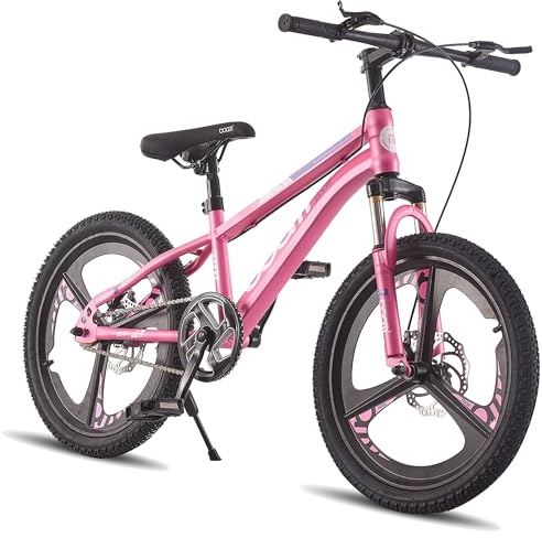 LSLIFE Kids Mountain Bike for Boys Girls 24 Inch Kids Bicycle for 13-16 Years Old Boy with Shock Absorber Boys Mountain Bicycle with Dual Disc Brake (Pink, 24 Inch)